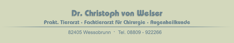 Dr. Christoph von Welser